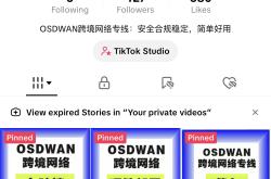 TikTok国际版苹果手机怎么下载？