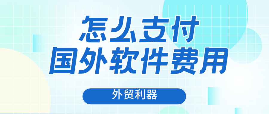 国外软件怎么在中国使用？怎么支付国外软件费用？缩略图