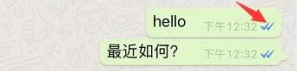 做外贸WhatsApp使用有哪些技巧？超全攻略插图4