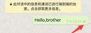 做外贸WhatsApp使用有哪些技巧？超全攻略插图3