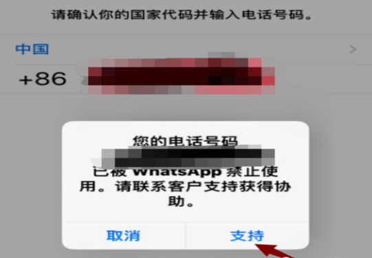 做外贸使用WhatsApp最全攻略插图5